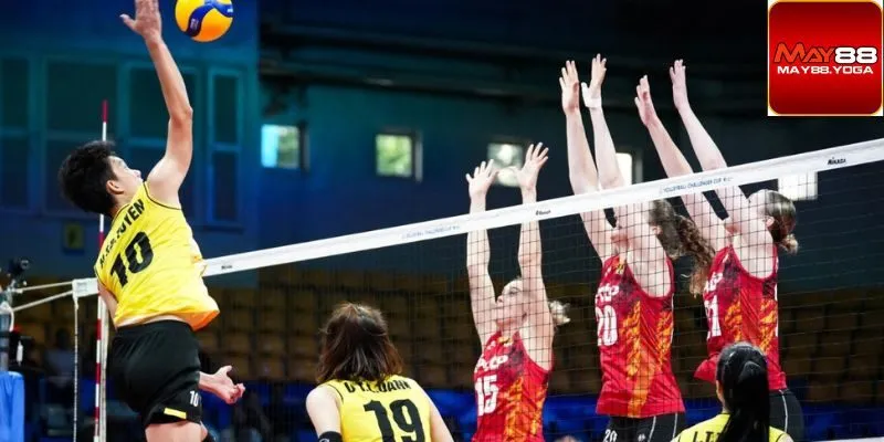 Chỉ cần đoán số chẵn - lẻ cuối trận đấu là đã có thể thắng thưởng